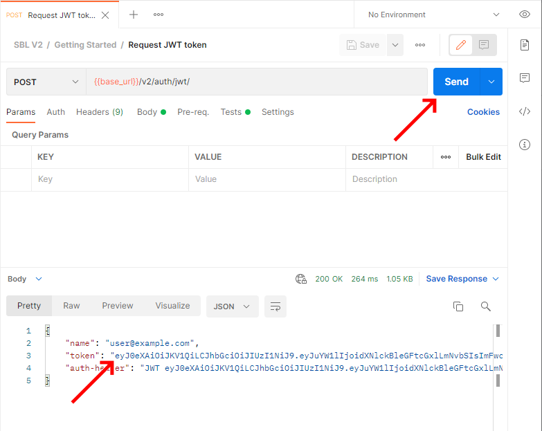Send the JWT token request img
